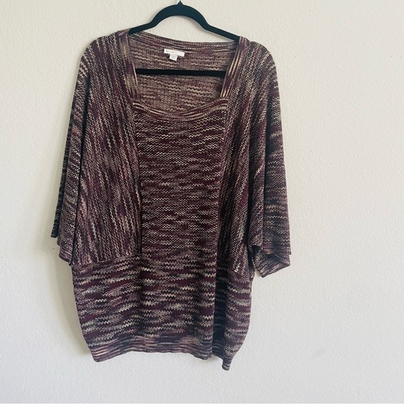 est 1946 Tops - Est. 1946 woman thin knit blouse top size 18/20W brown dolman sleeve stretch